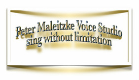 Picture Logo Peter Maleitzke Voice Studio